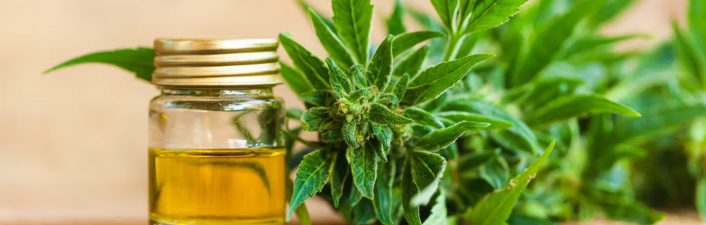 CBD For Pain: How CBD May Help