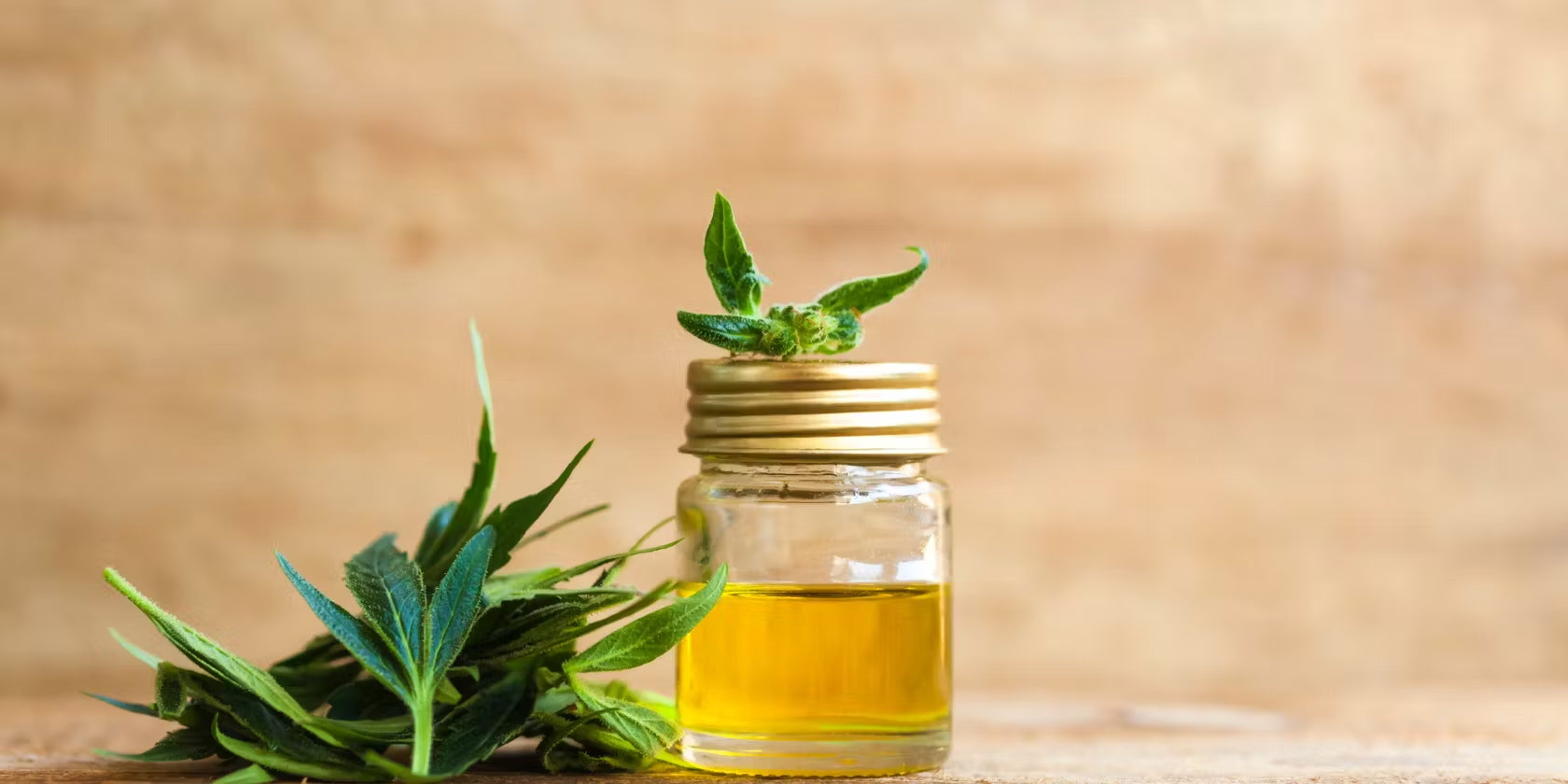 CBD For Sleep: A Plant-Derived Sleep Aid