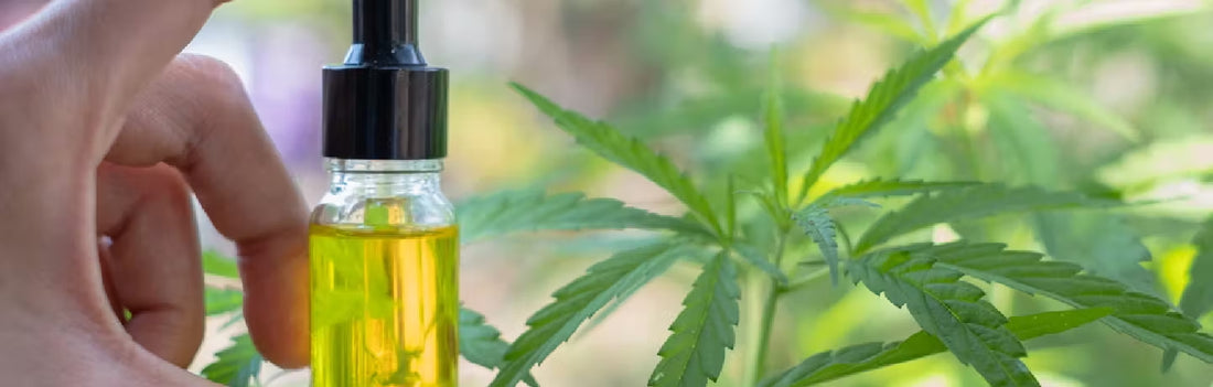 Here’s How CBD Can Help With Stress