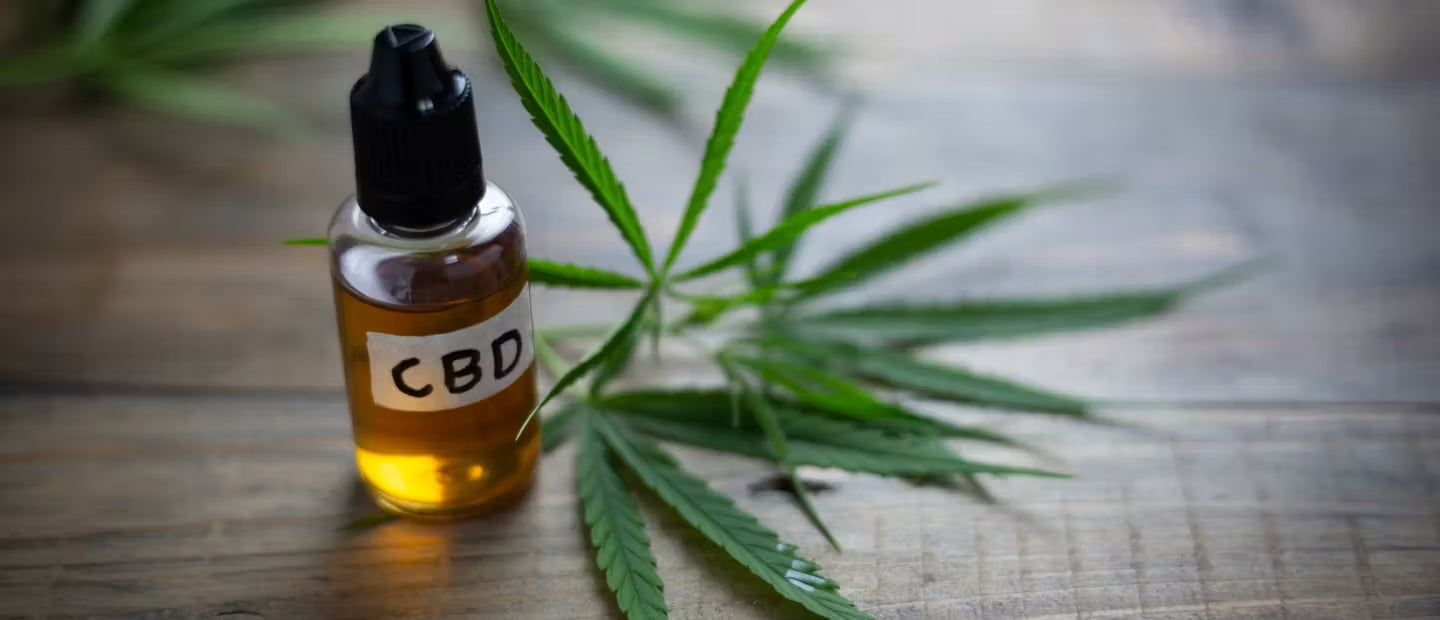 Separating Fact from Fiction: CBD and the Placebo Effect