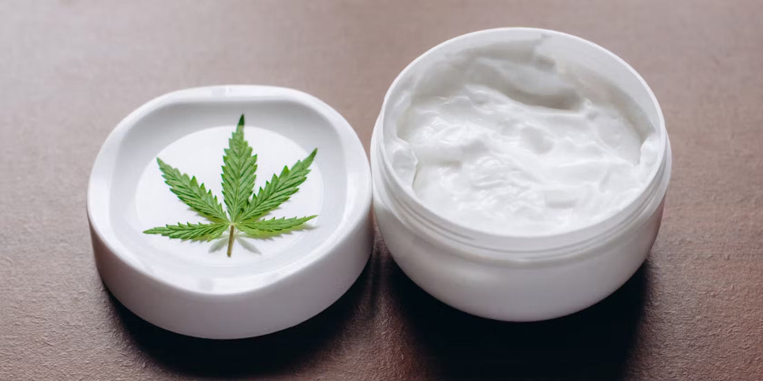 How CBD Topicals May Support Our Aging Bodies